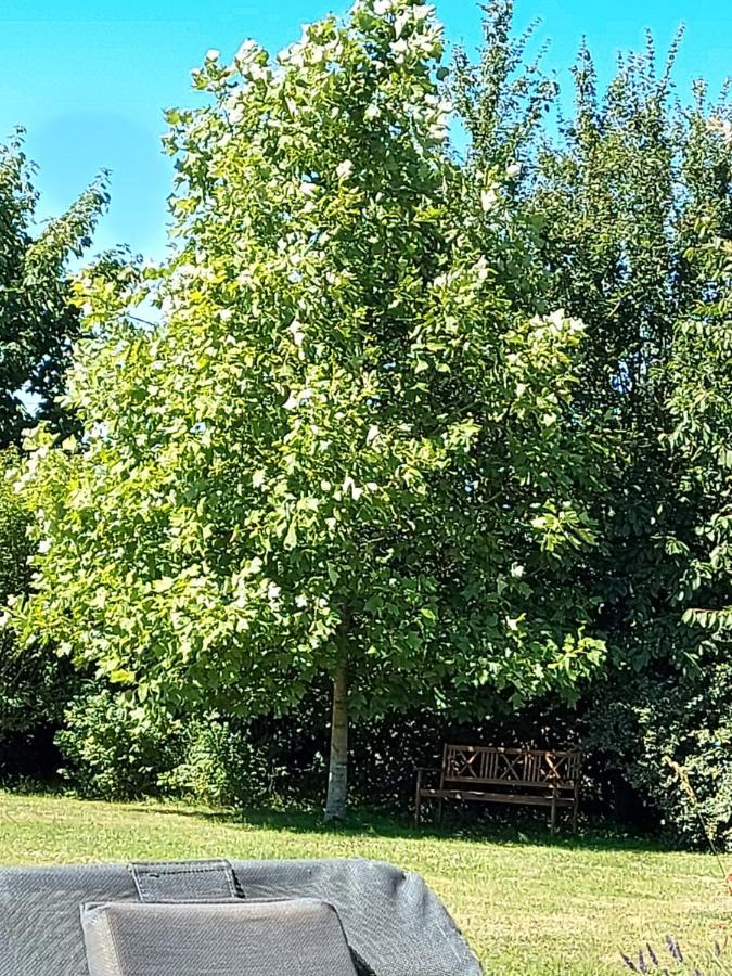 Gite D'Anne Et Ulysse Sept-Freres Bagian luar foto